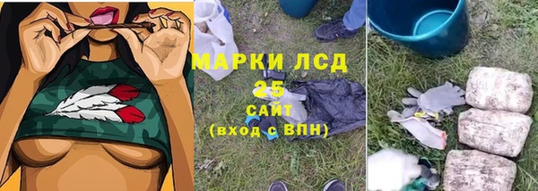 гидра Алексин