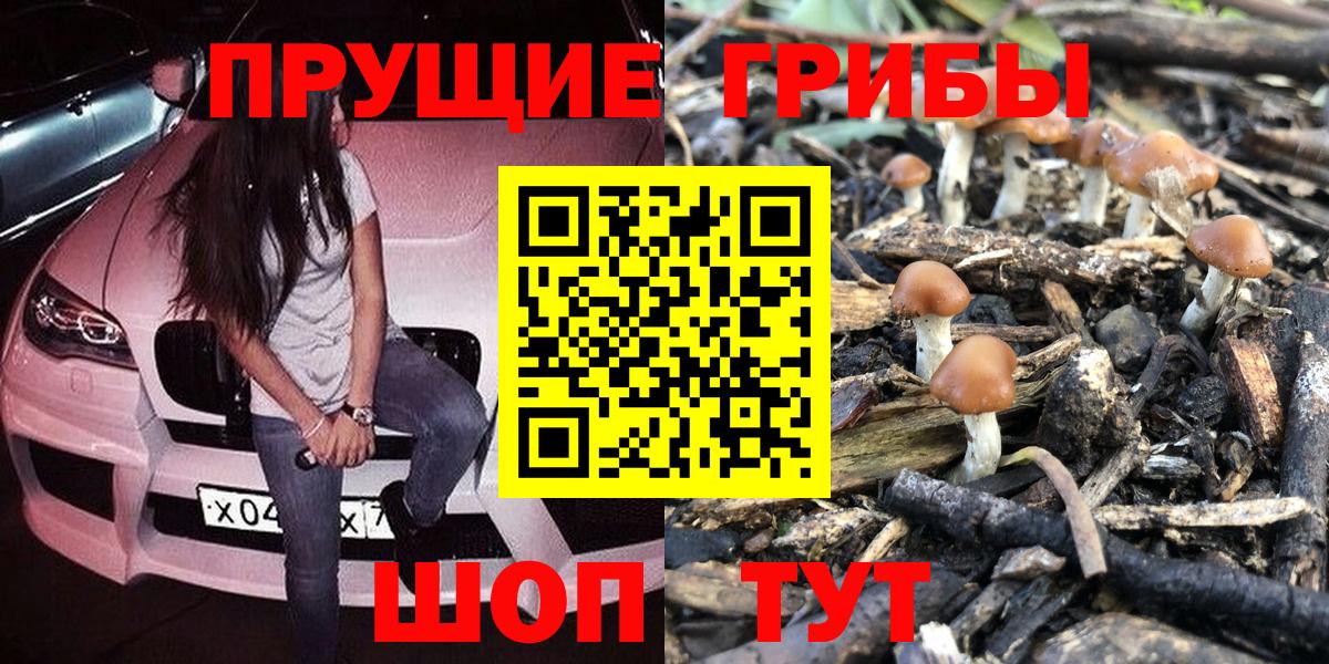 Псилоцибиновые грибы мухоморы Слободской