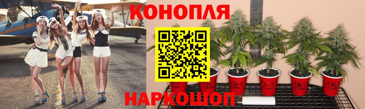 Слободской  Каннабис конопля  Конопля Ganja  Вход с VPN 